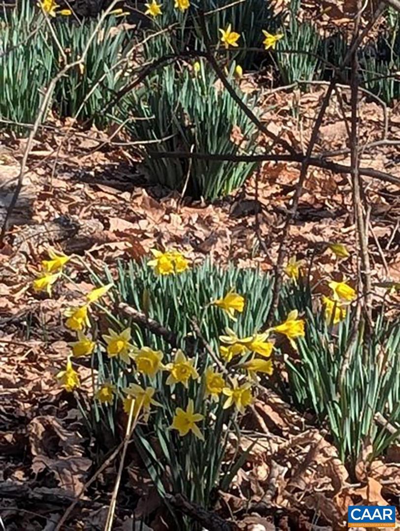 2005 Upper Stony Run Property Photo 31