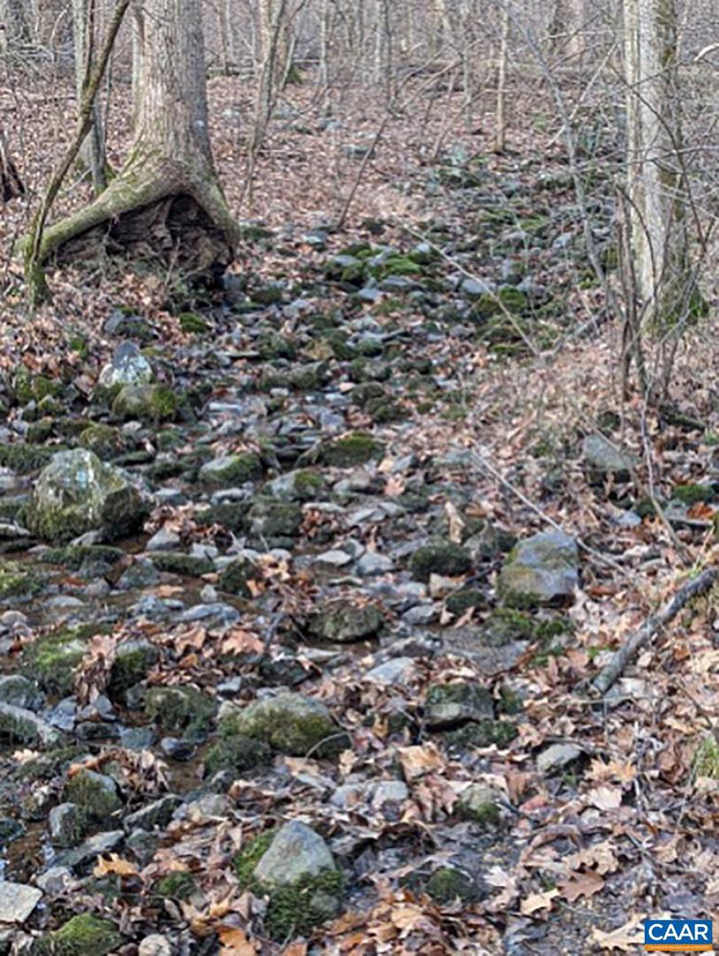 2005 Upper Stony Run Property Photo 39