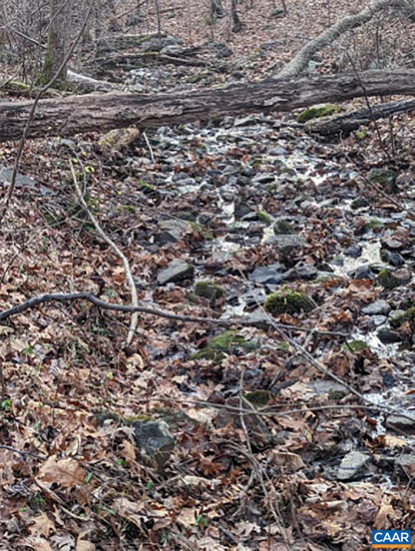 2005 Upper Stony Run Property Photo 42