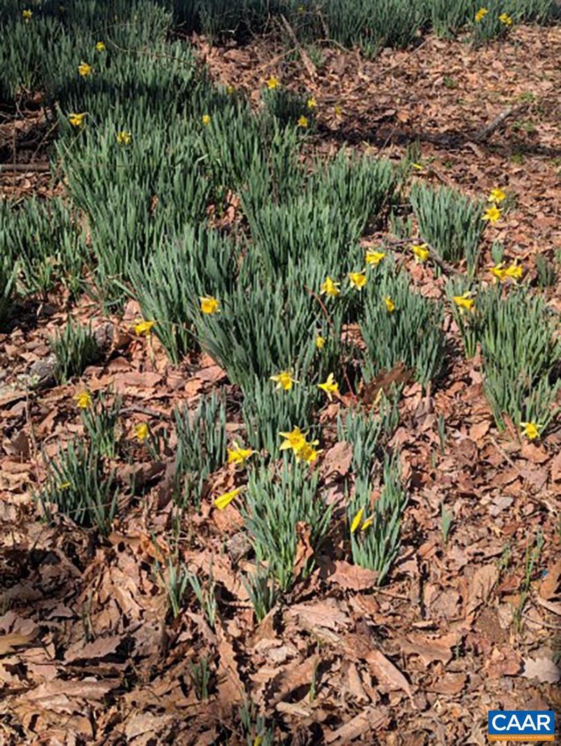 2005 Upper Stony Run Property Photo 44