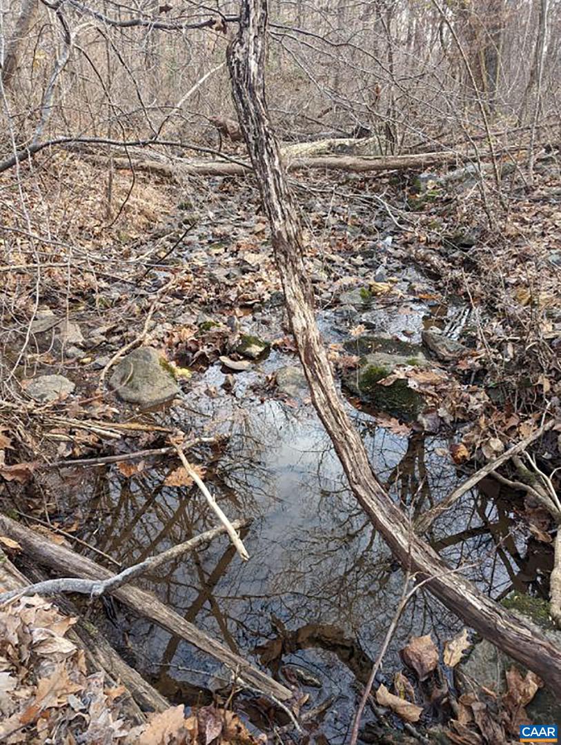 2005 Upper Stony Run Property Photo 64