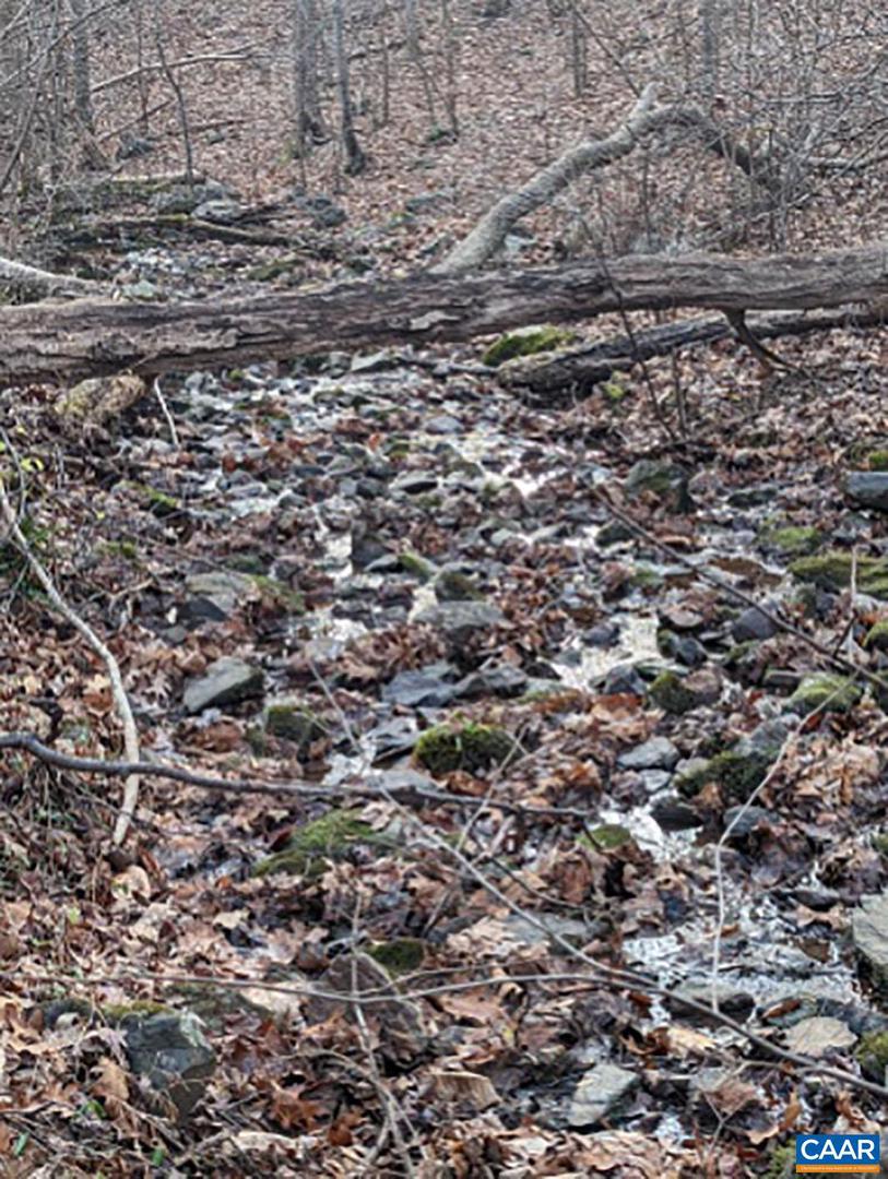 2005 Upper Stony Run Property Photo 65