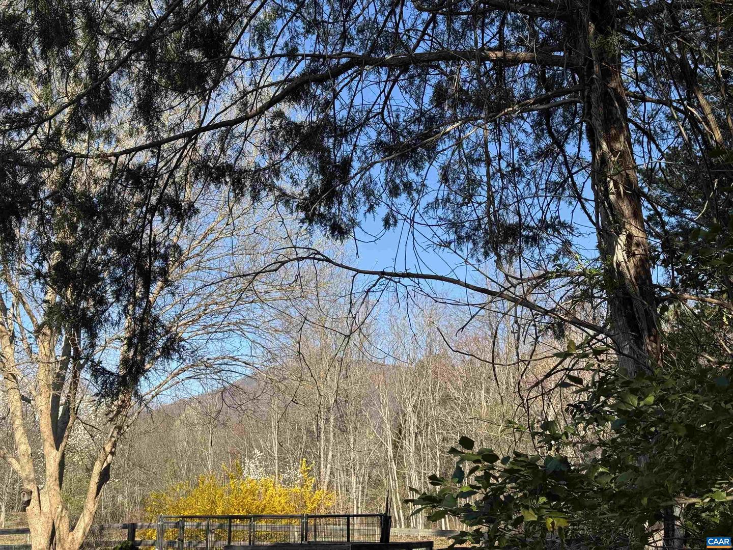 000 Cedar Meadow Dr Property Photo