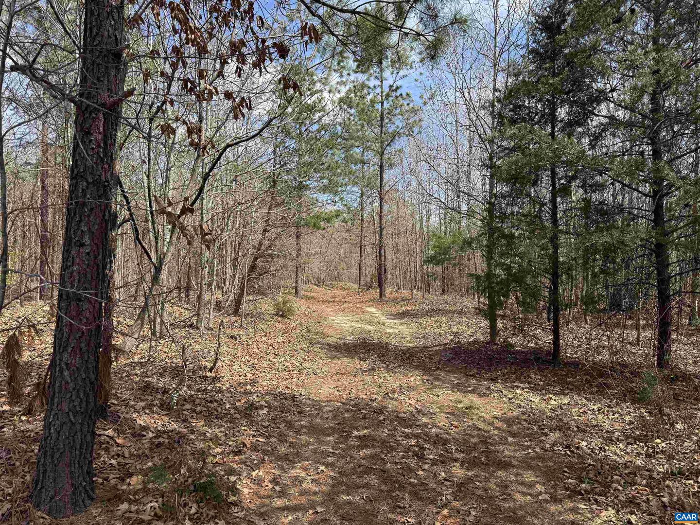 438 Mountain Top Dr Property Photo 5
