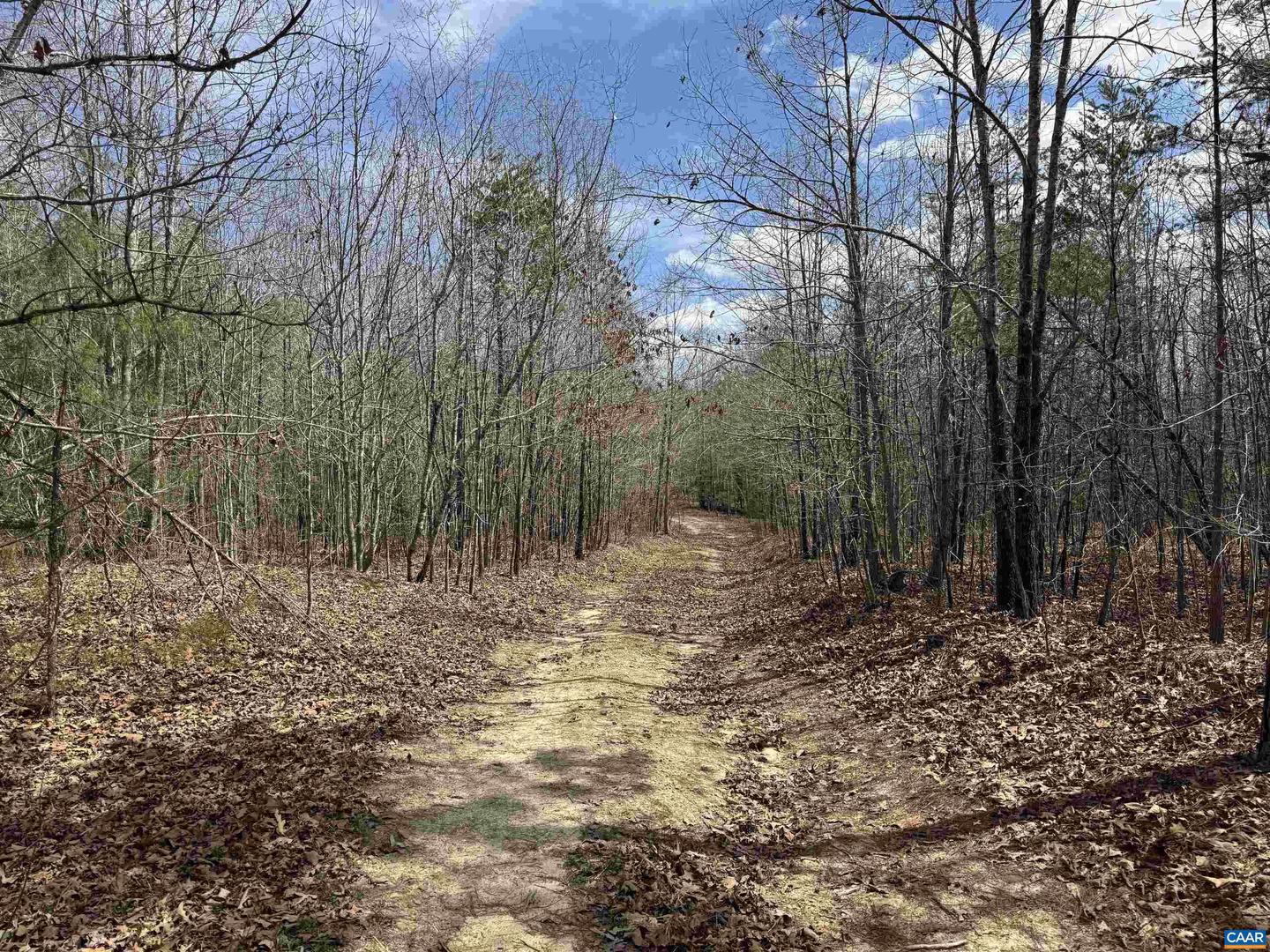 438 Mountain Top Dr Property Photo 6
