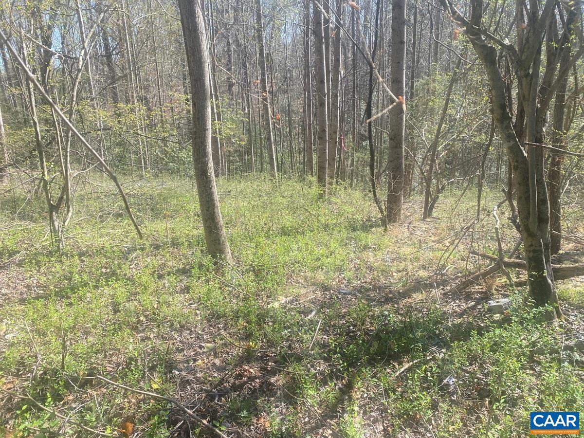 King Solomon Ln Property Photo 1