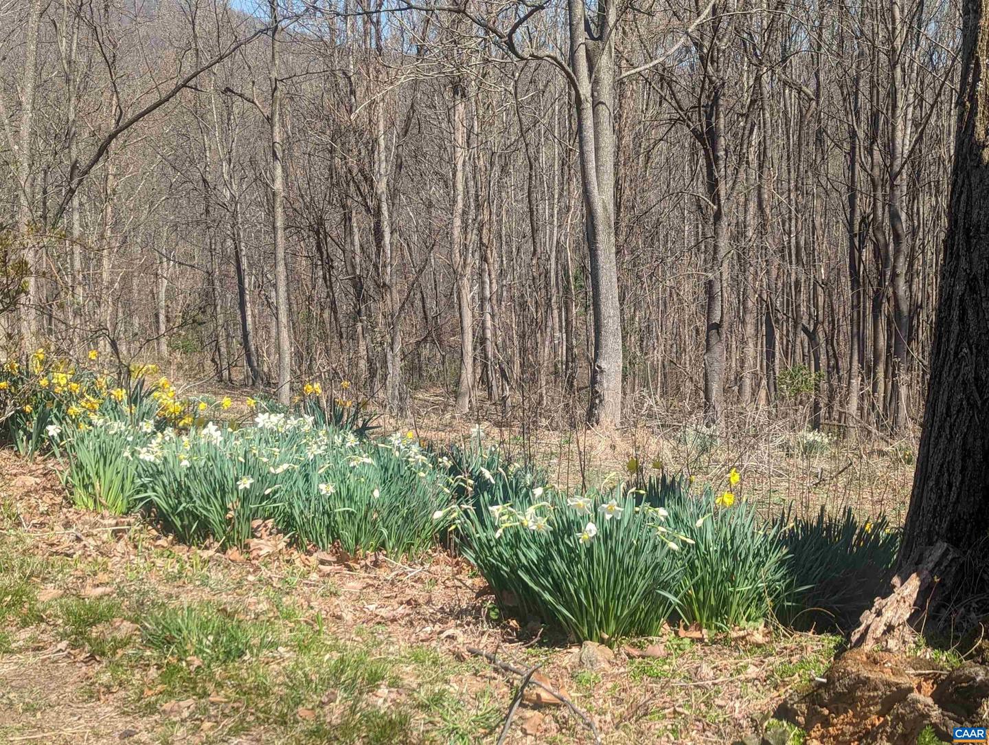 2005 Upper Stony Run #10 Property Photo 10