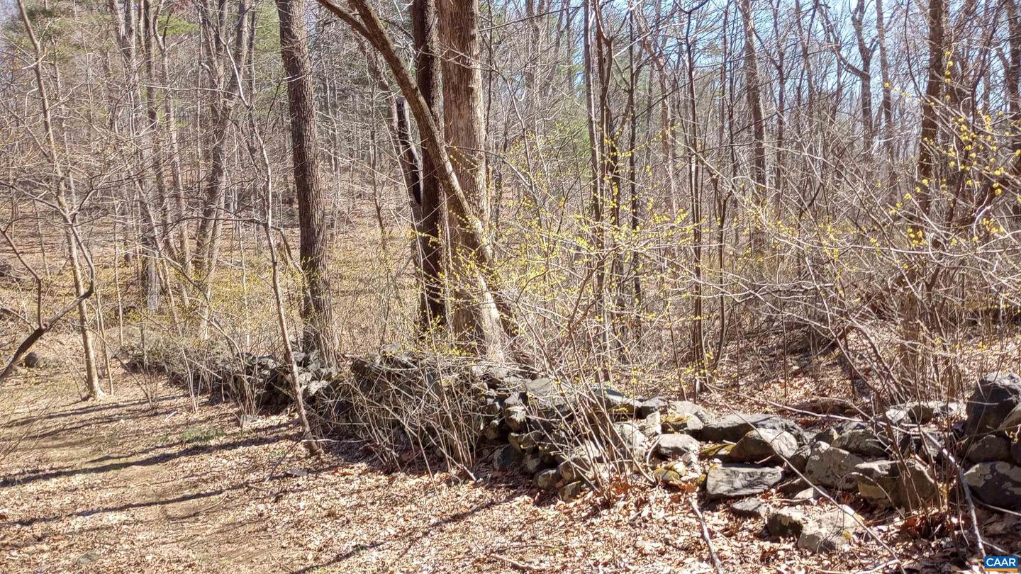 2005 Upper Stony Run #10 Property Photo 57
