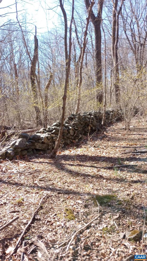 2005 Upper Stony Run #10 Property Photo 61