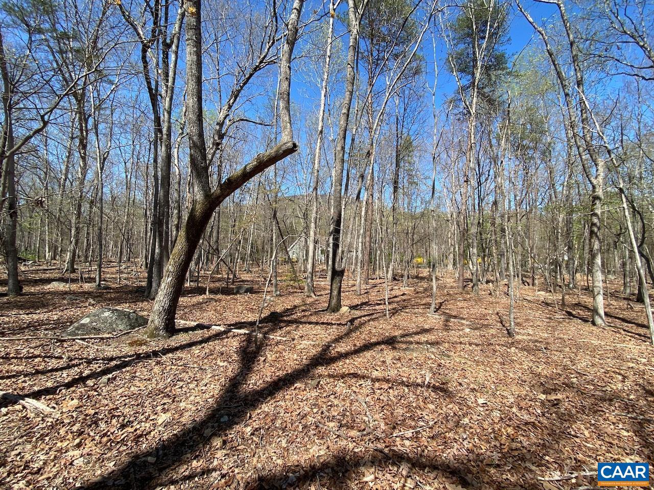 38 Creekside Cl Property Photo 7
