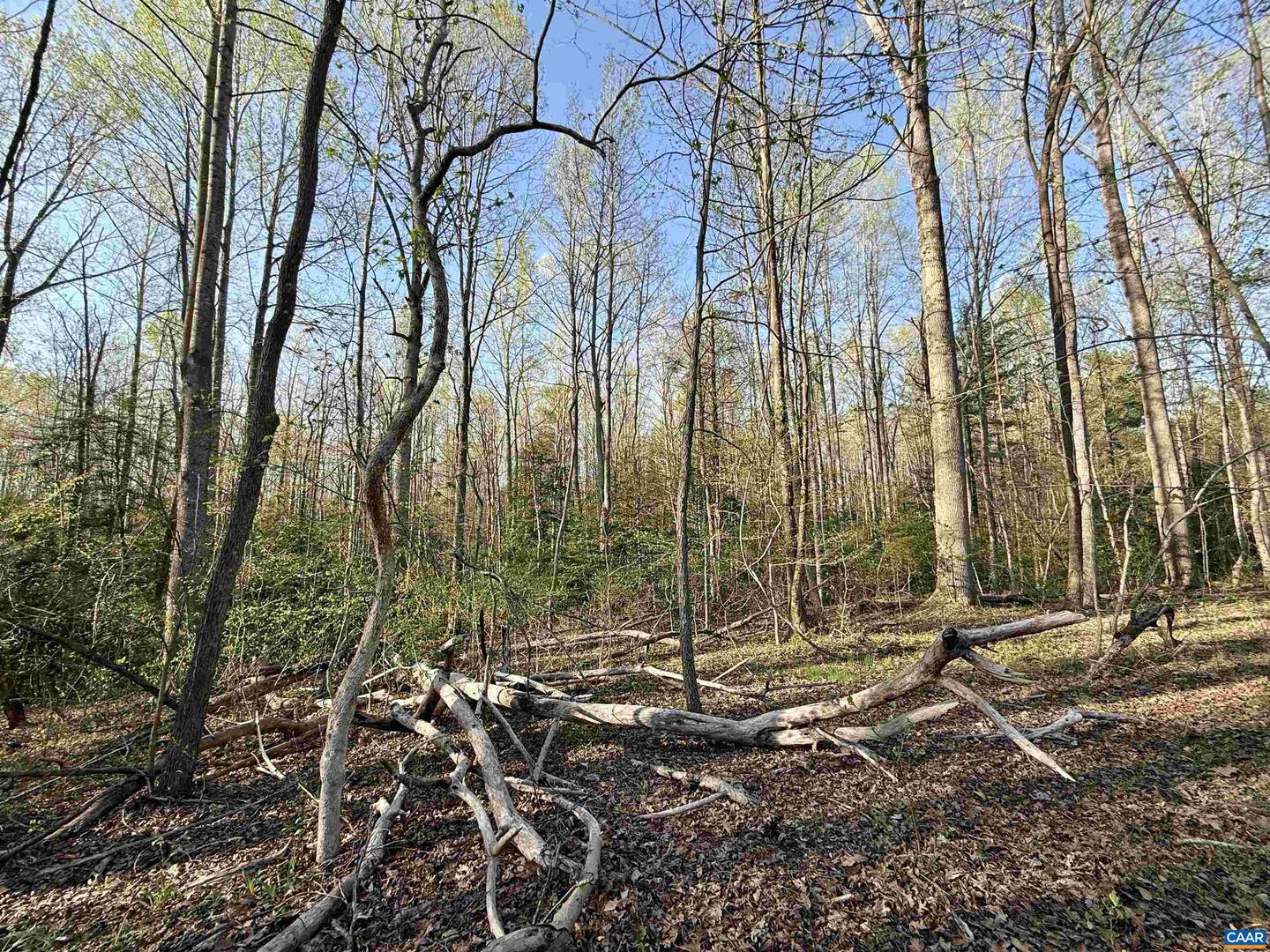 4320 Ironwood Trl #8 Property Photo 10
