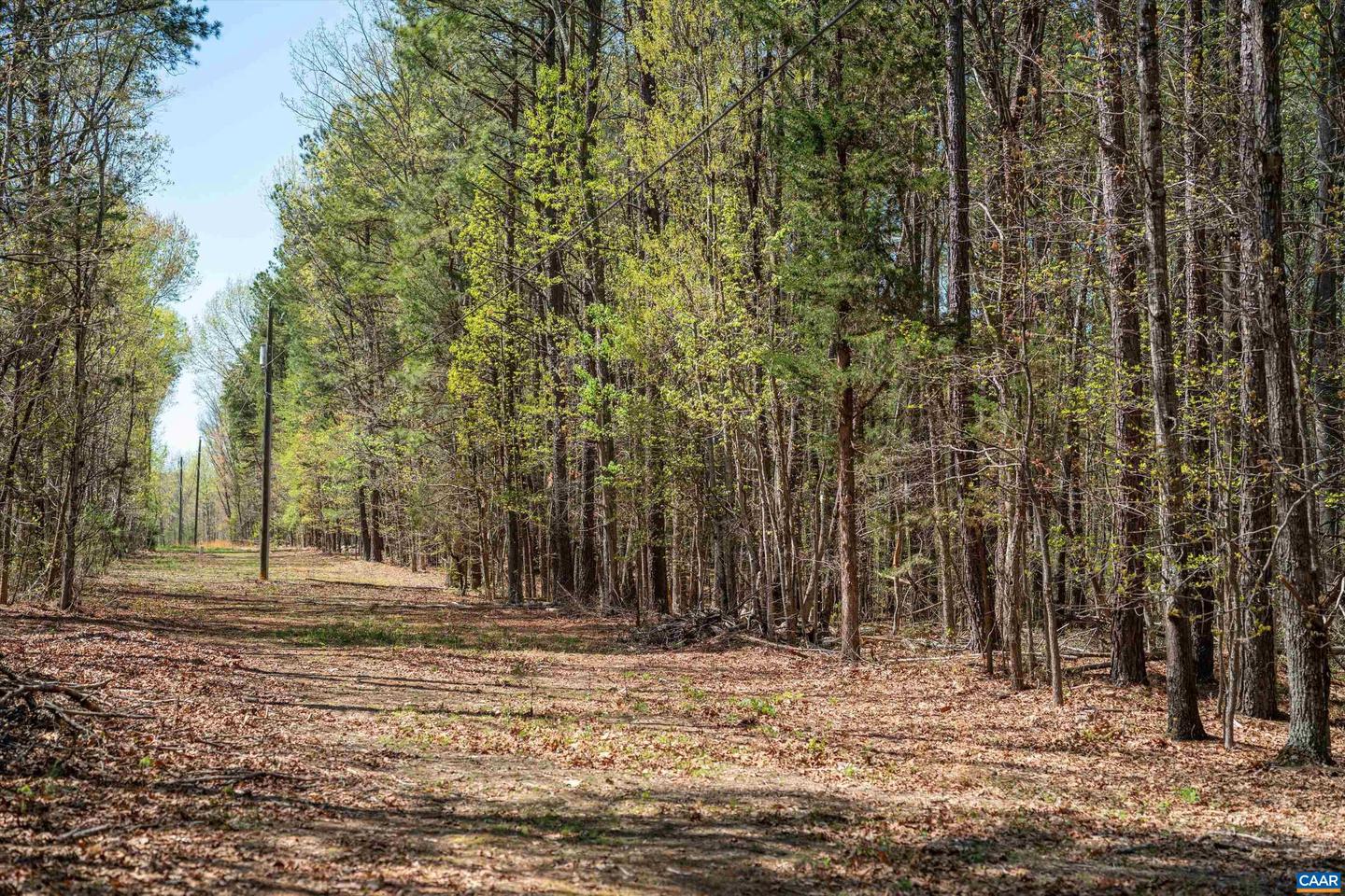 Lot 27 Martin Kings Rd #07600 Property Photo 14