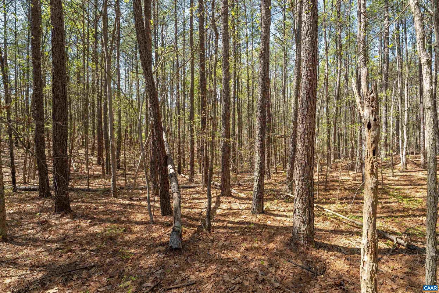 Lot 27 Martin Kings Rd #07600 Property Photo 19