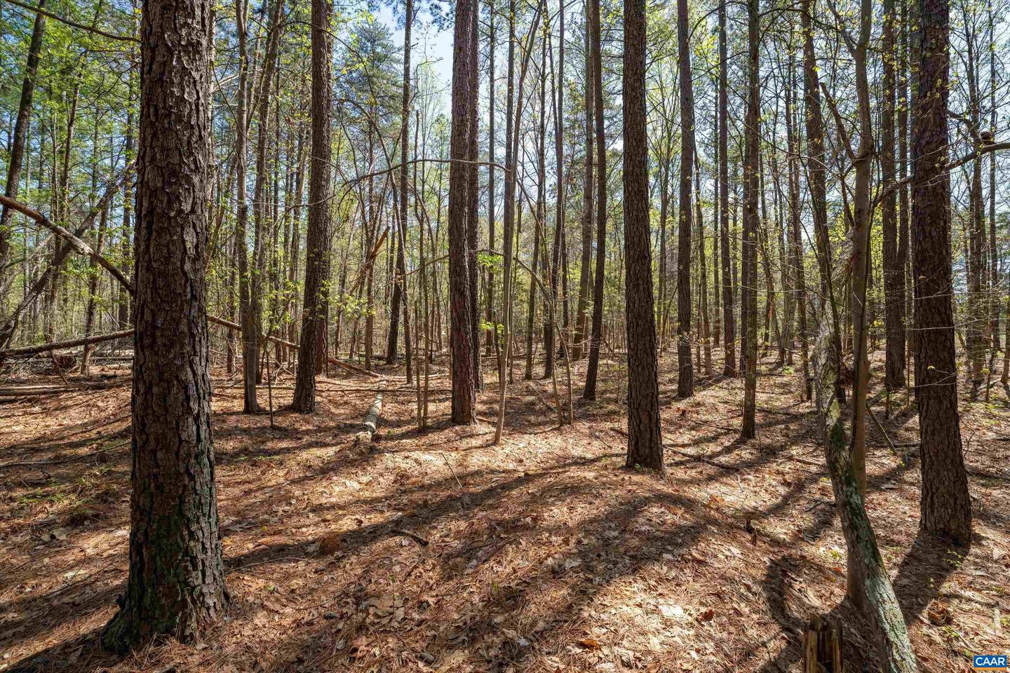 Lot 27 Martin Kings Rd #07600 Property Photo 20