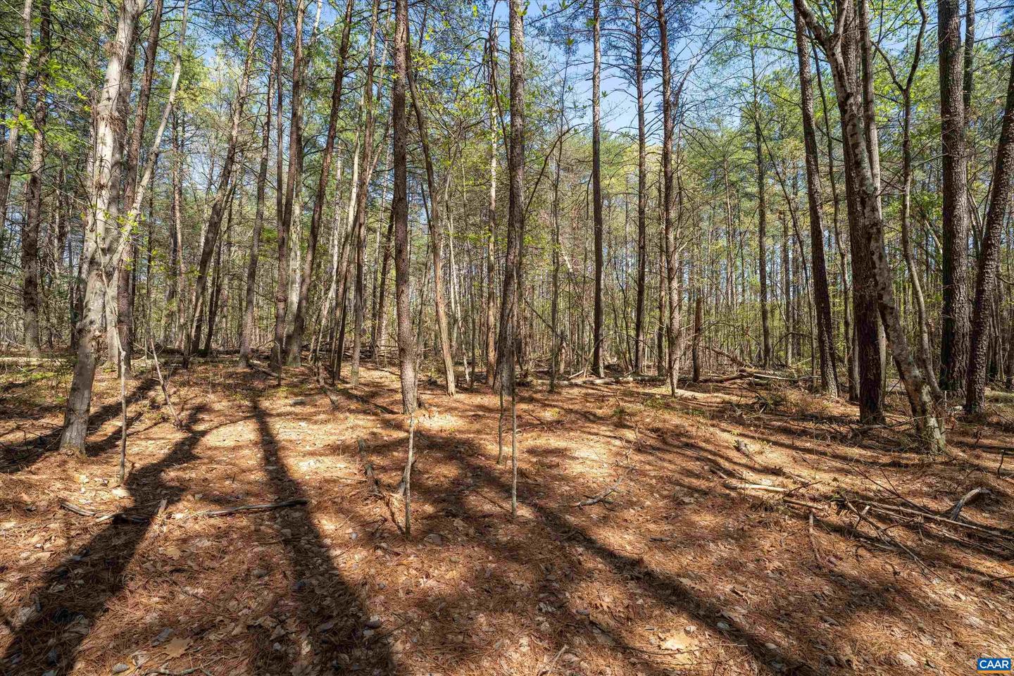 Lot 27 Martin Kings Rd #07600 Property Photo 22