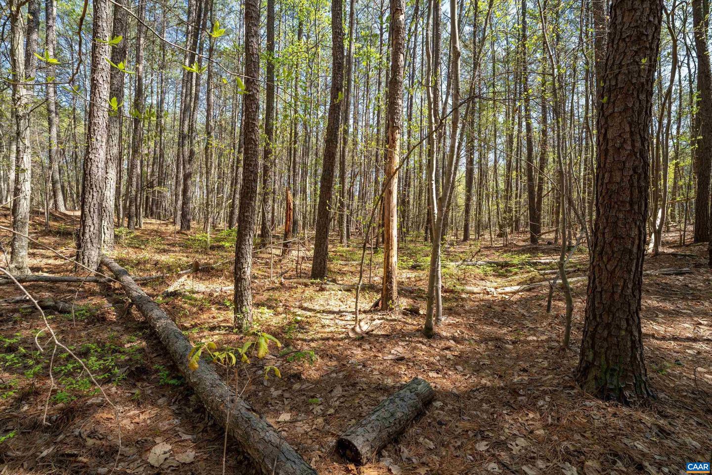 Lot 27 Martin Kings Rd #07600 Property Photo 23