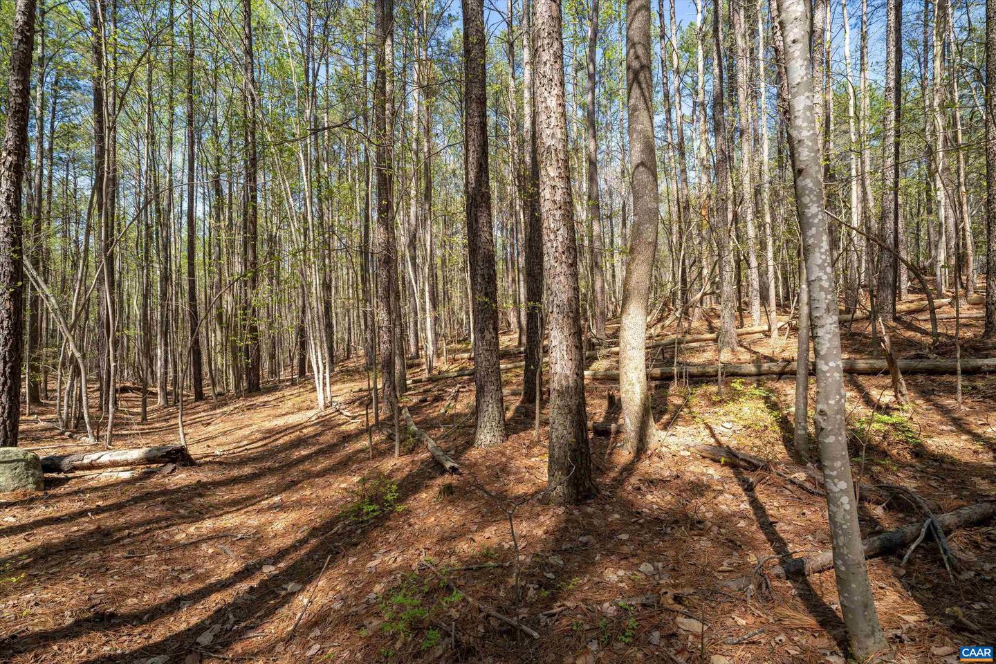 Lot 27 Martin Kings Rd #07600 Property Photo 24