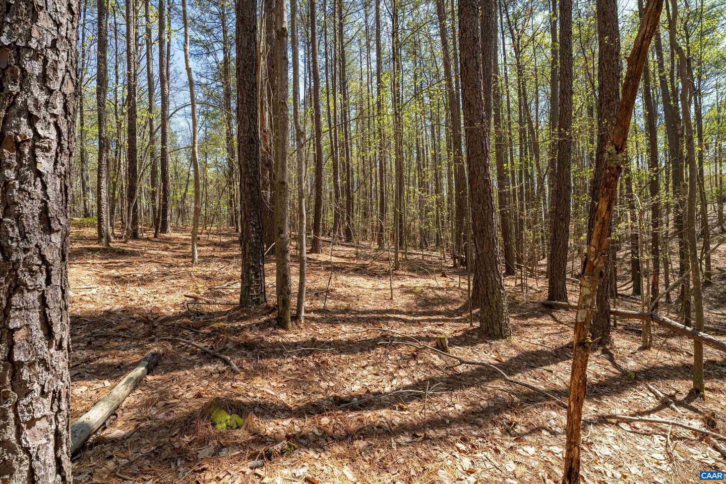 Lot 27 Martin Kings Rd #07600 Property Photo 26