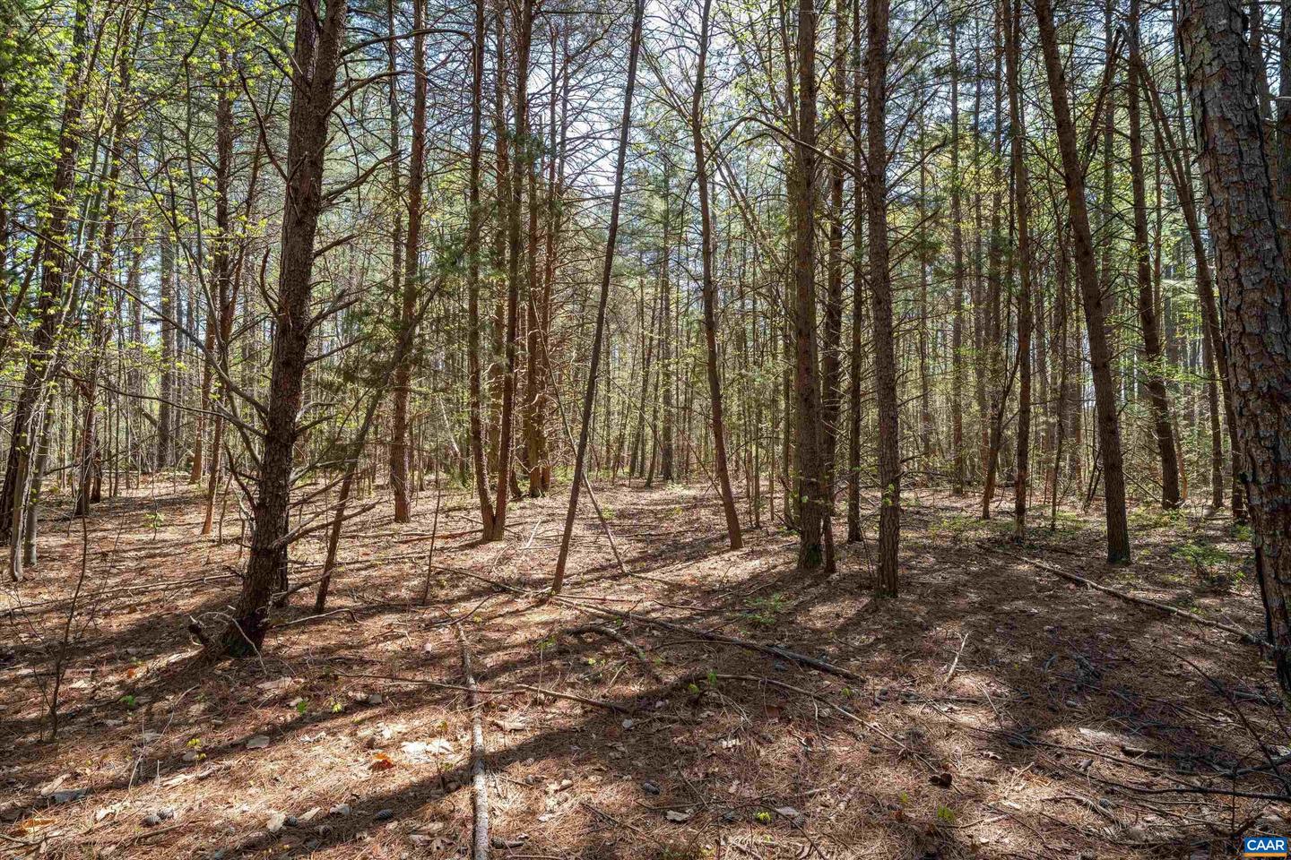 Lot 27 Martin Kings Rd #07600 Property Photo 28