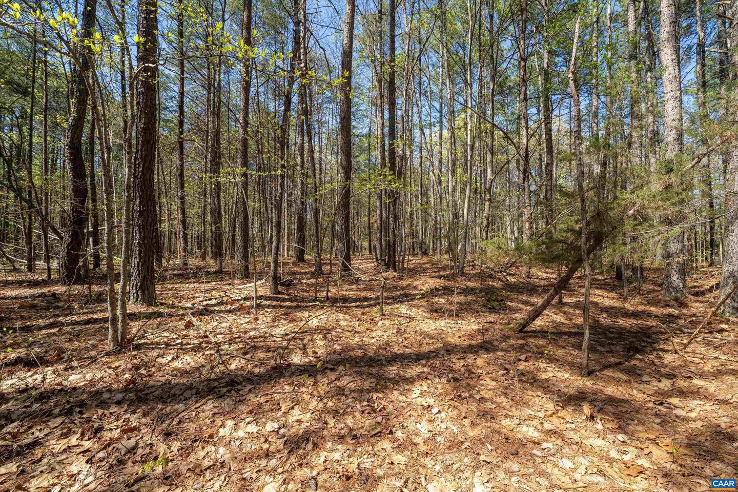 Lot 27 Martin Kings Rd #07600 Property Photo 30