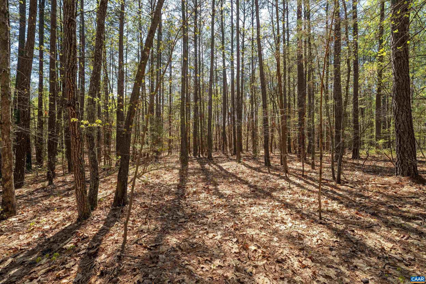 Lot 27 Martin Kings Rd #07600 Property Photo 31