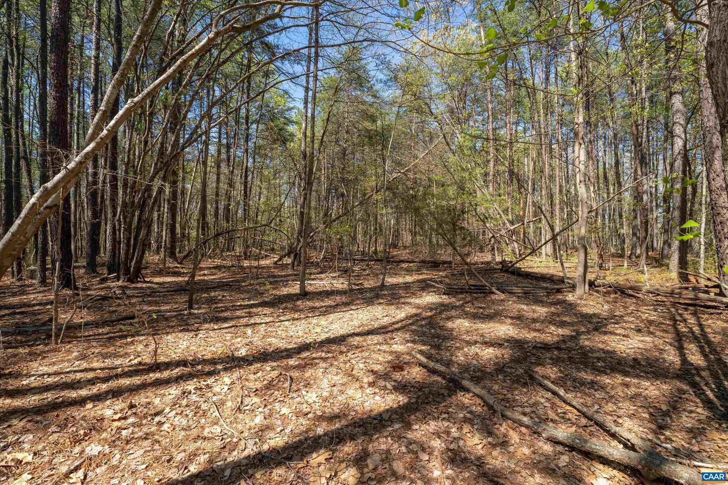 Lot 27 Martin Kings Rd #07600 Property Photo 32