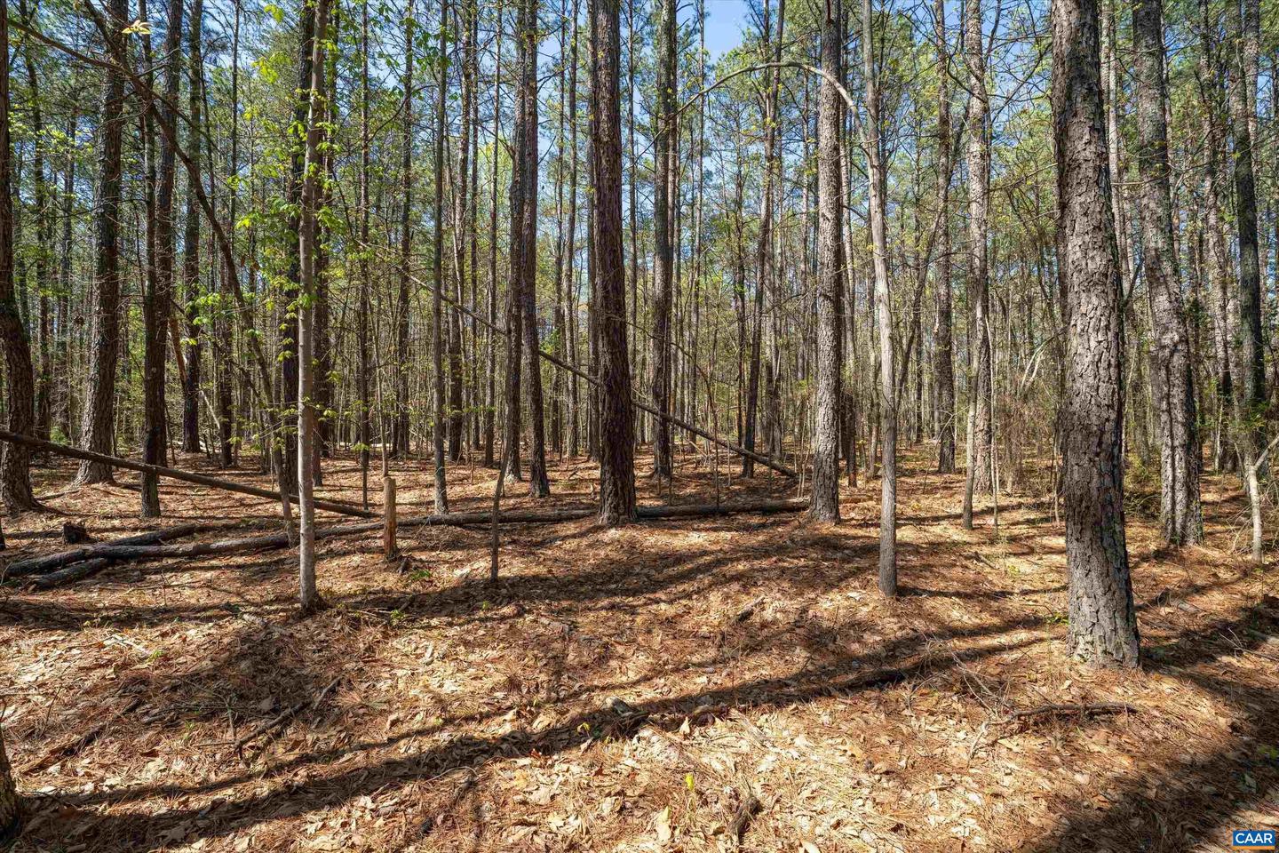 Lot 27 Martin Kings Rd #07600 Property Photo 33