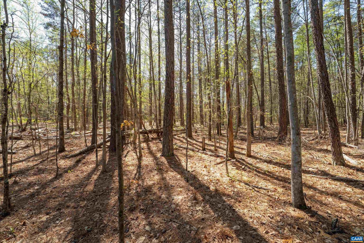 Lot 27 Martin Kings Rd #07600 Property Photo 34