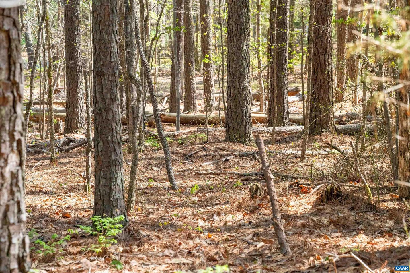 Lot 27 Martin Kings Rd #07600 Property Photo 36