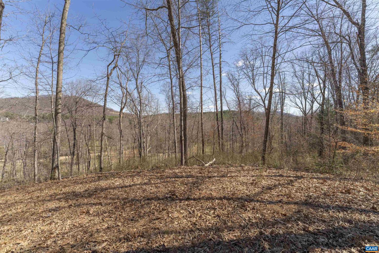Lot 2 Rockfish Valley Hwy #2 Property Photo 2