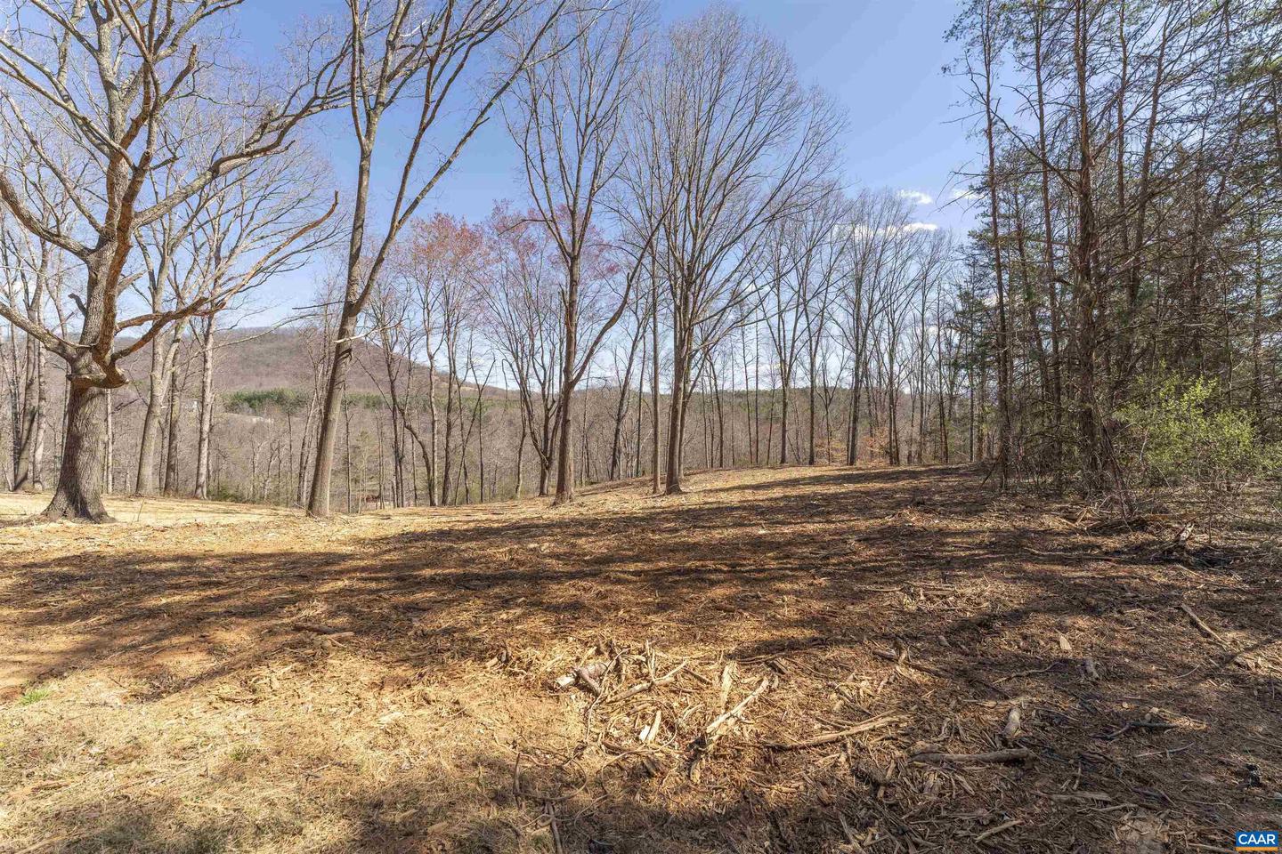 Lot 2 Rockfish Valley Hwy #2 Property Photo 4