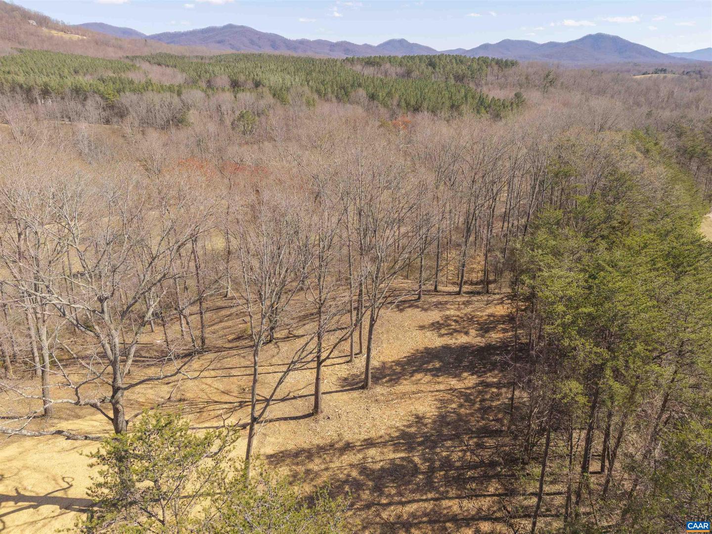 Lot 2 Rockfish Valley Hwy #2 Property Photo 6