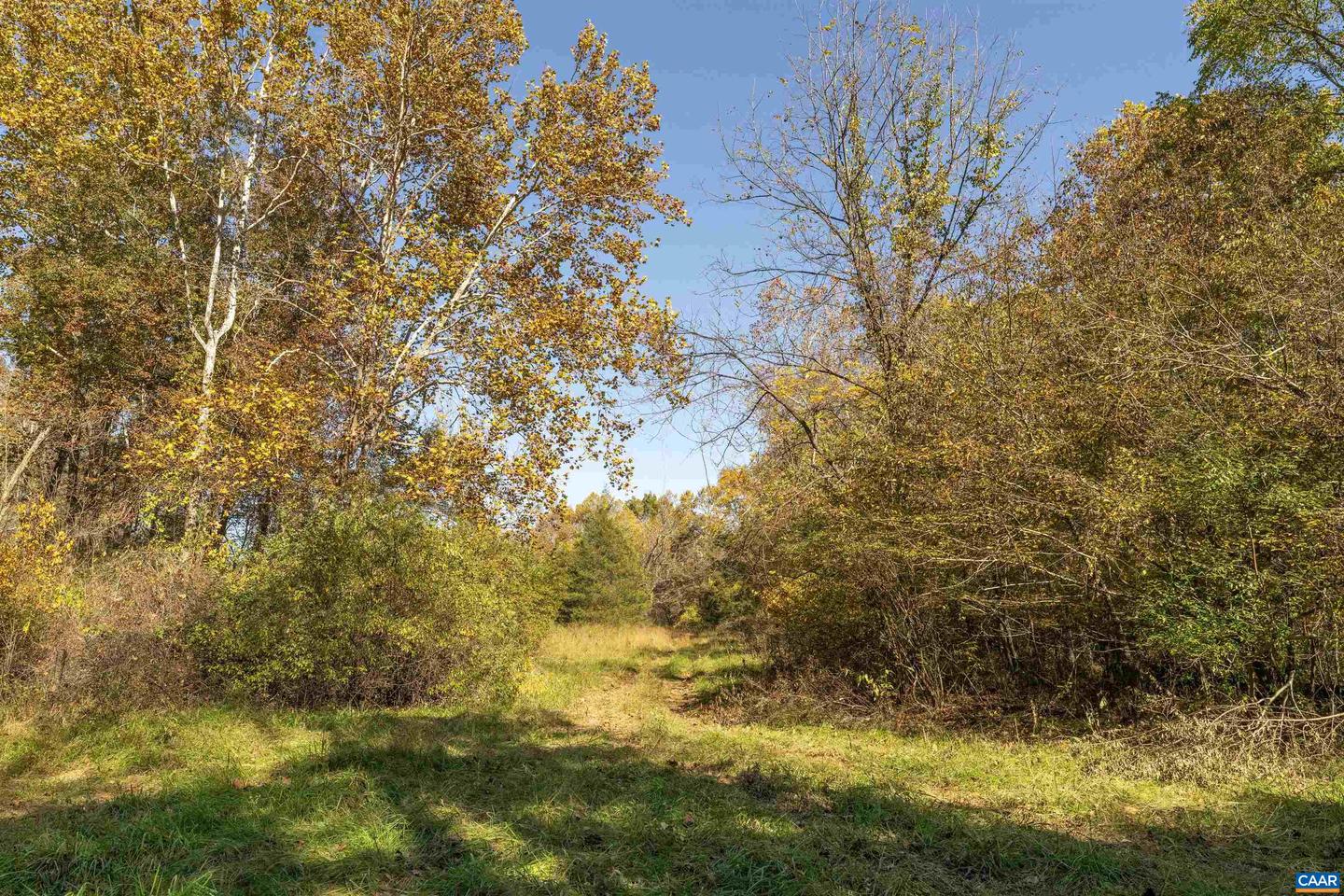 Lot 2 Rockfish Valley Hwy #2 Property Photo 8