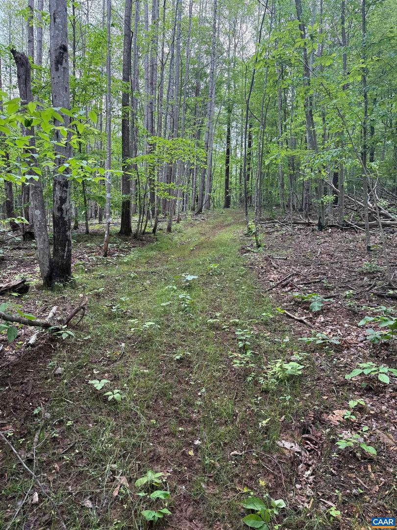 Tbd Rabbit Valley Rd Property Photo 2