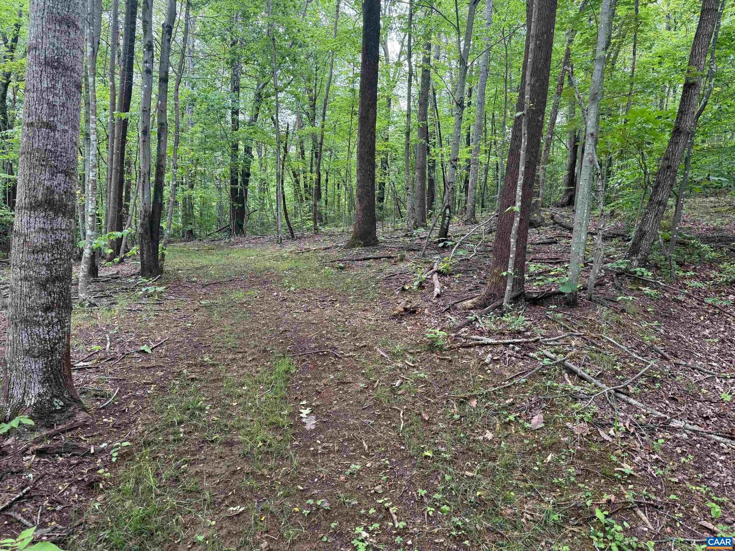 Tbd Rabbit Valley Rd Property Photo 3