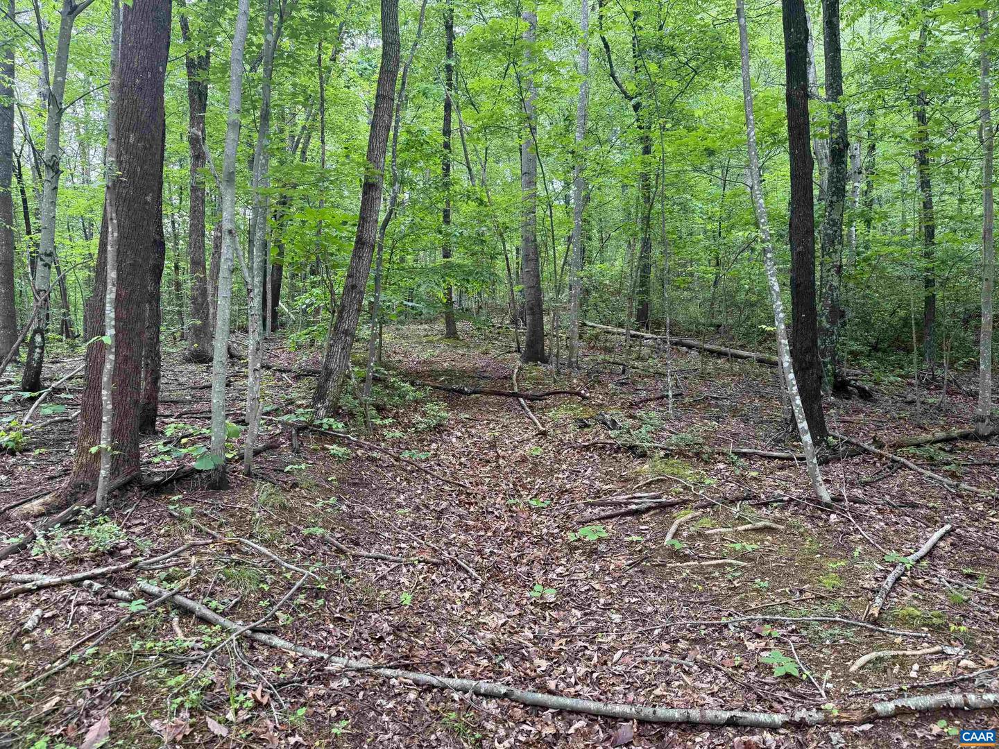 Tbd Rabbit Valley Rd Property Photo 4