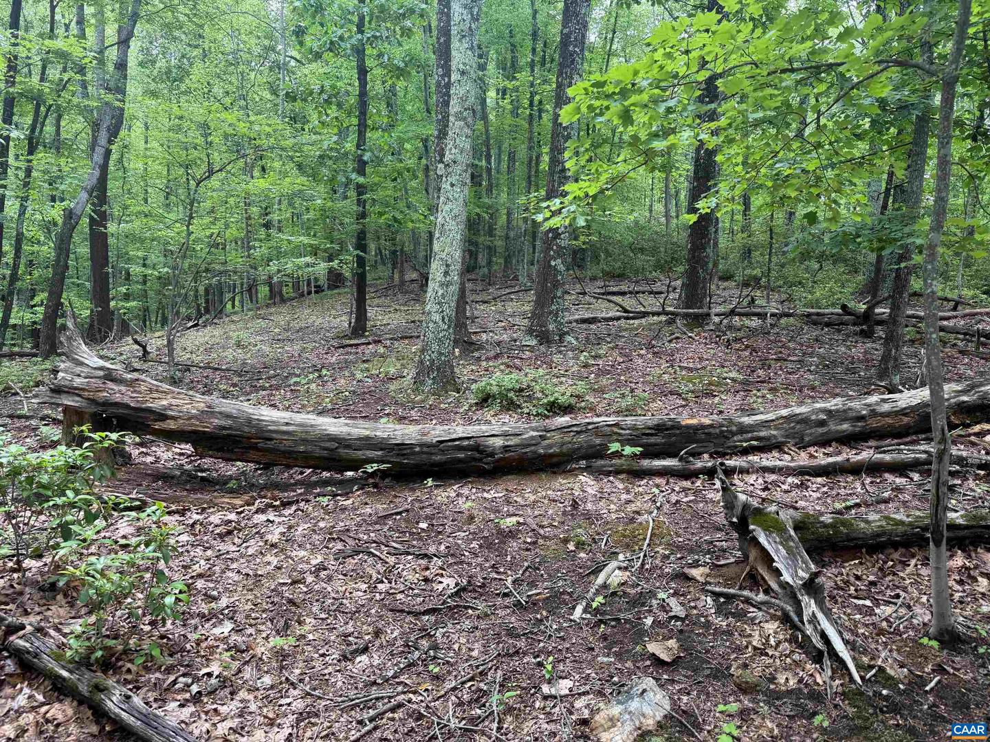 Tbd Rabbit Valley Rd Property Photo 5