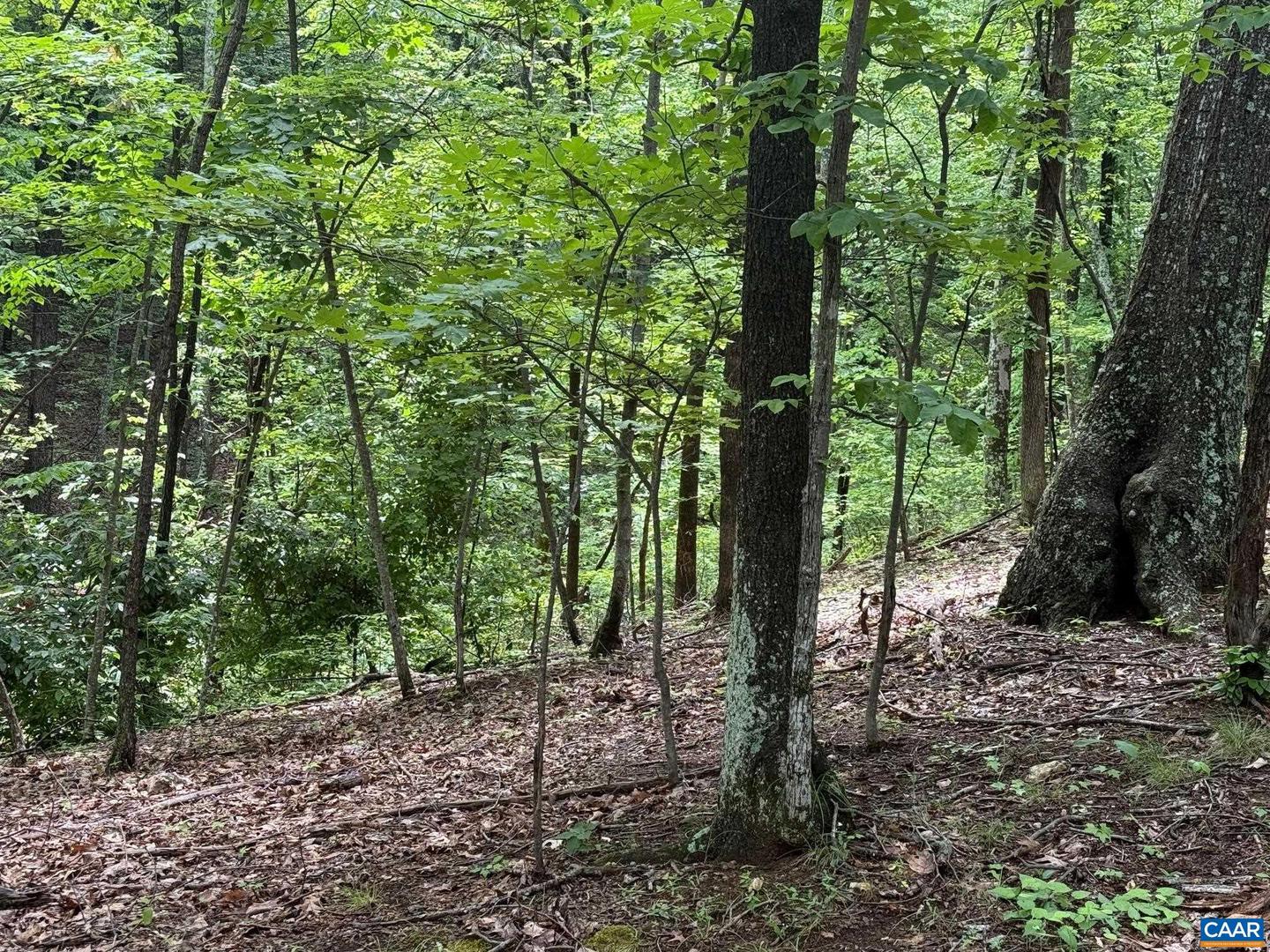 Tbd Rabbit Valley Rd Property Photo 6