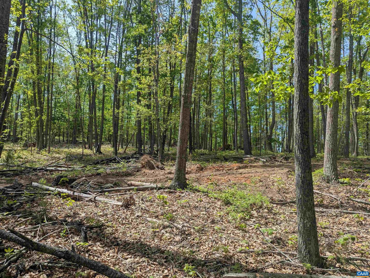 Lot 9 Advance Mills Rd Property Photo 7