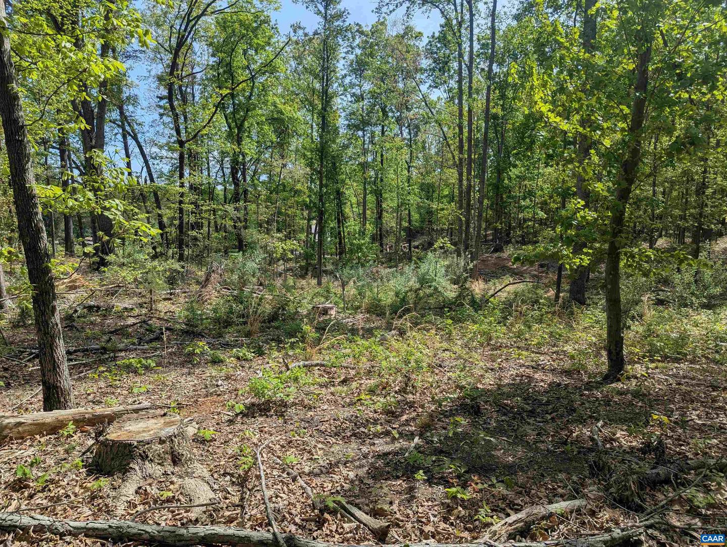 Lot 9 Advance Mills Rd Property Photo 8