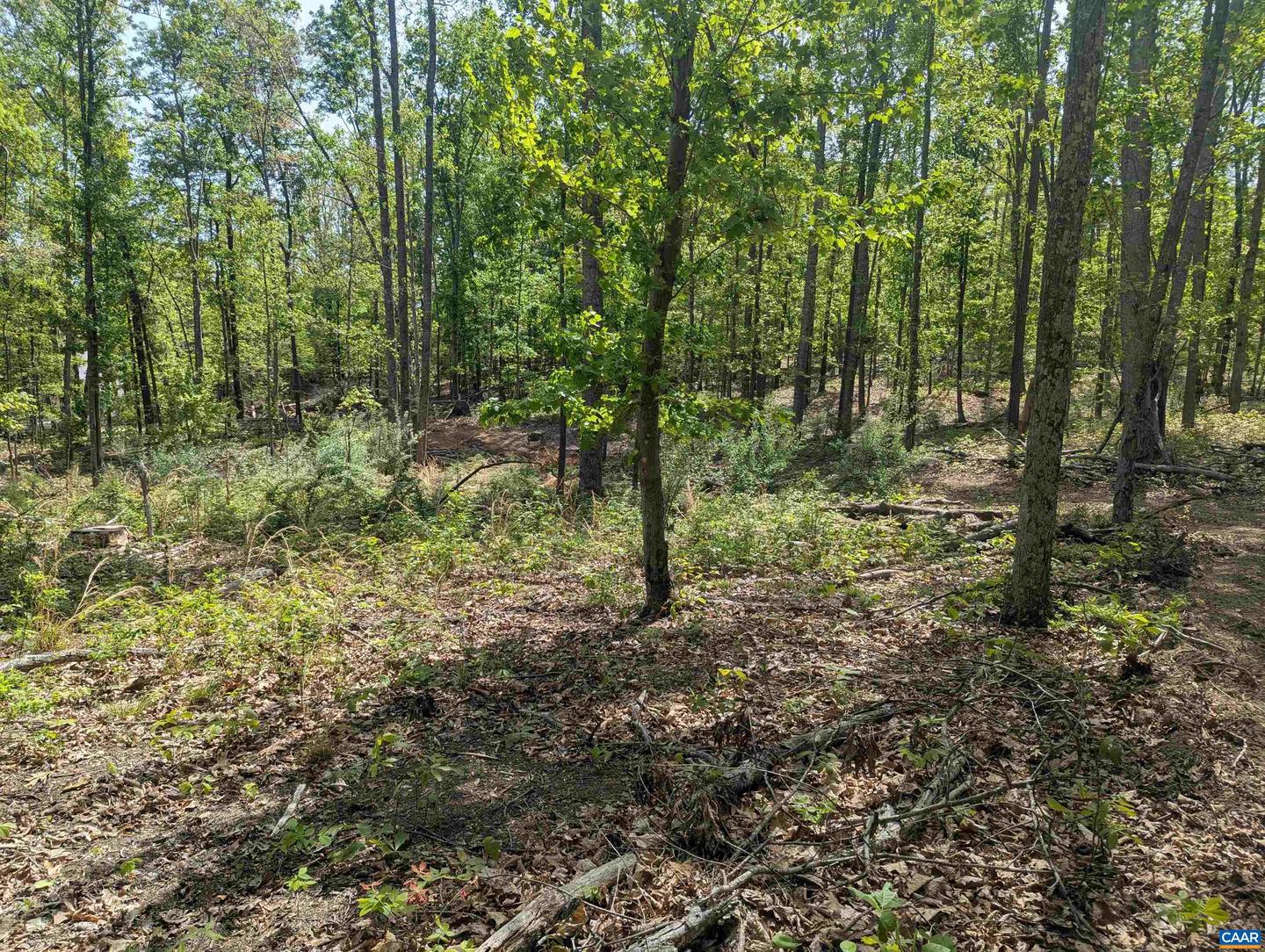 Lot 9 Advance Mills Rd Property Photo 9