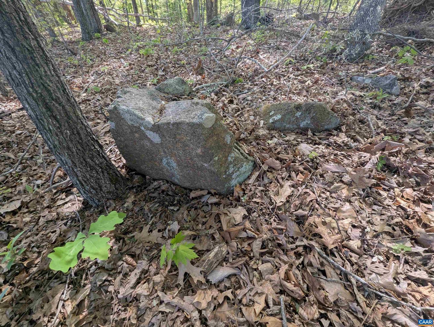Lot 9 Advance Mills Rd Property Photo 13