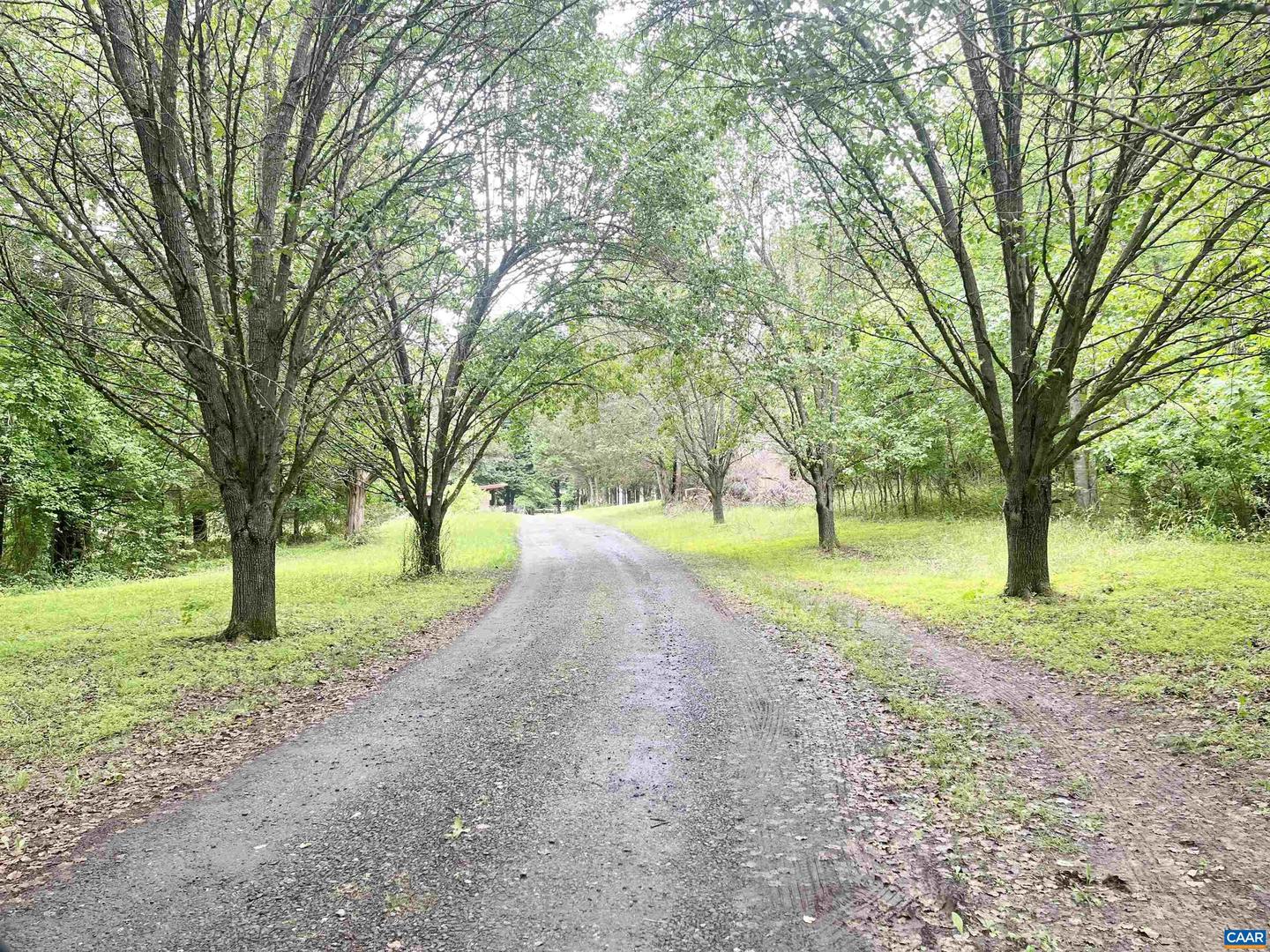 5878a Buffalo River Rd Property Photo 1