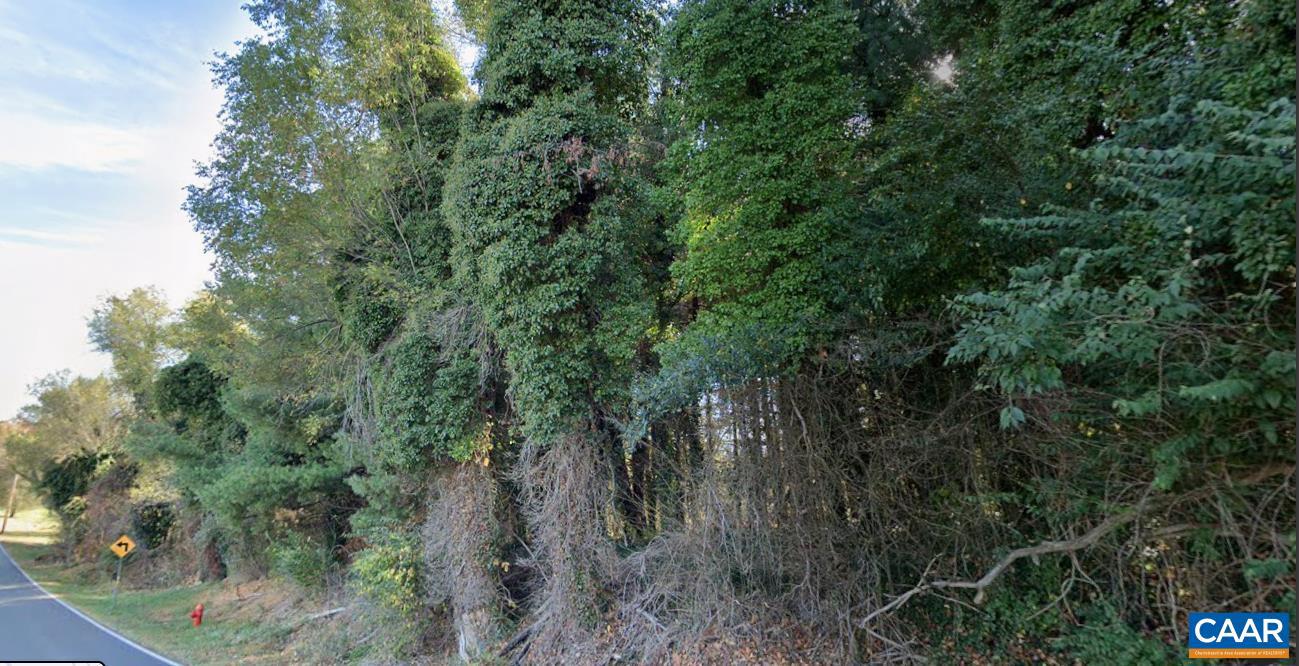 Tbd White Bridge Rd Property Photo 5