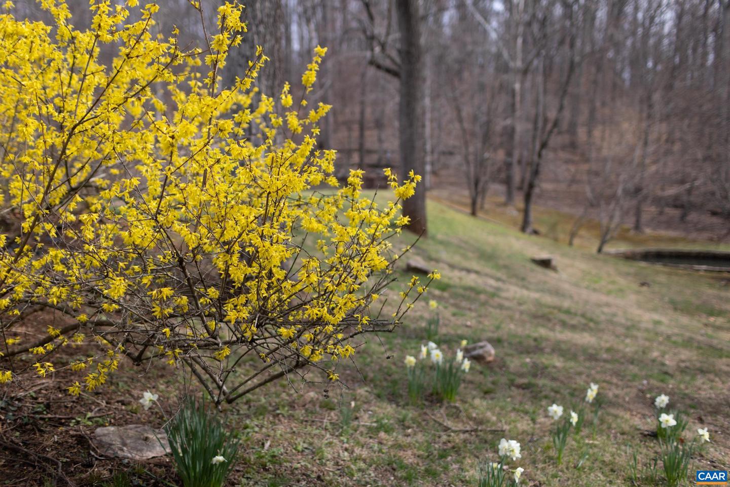1325 Branchlands Dr #e Property Photo 32