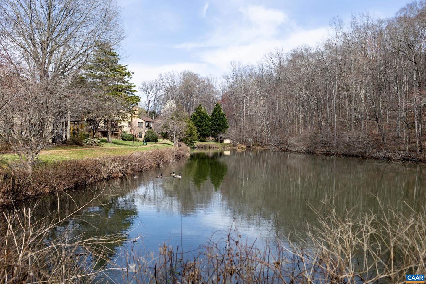 1325 Branchlands Dr #e Property Photo 33