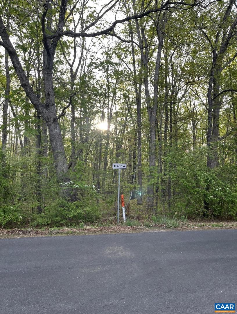 Black Walnut Run Rd Property Photo 2
