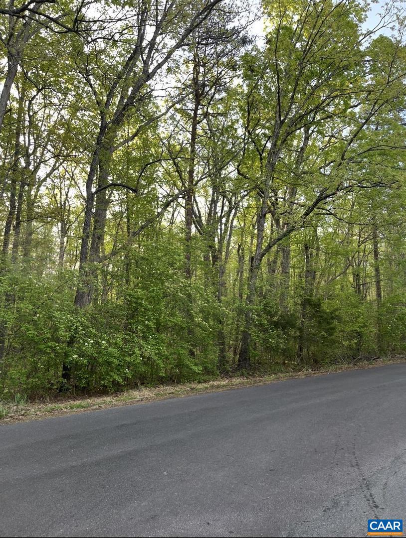 Black Walnut Run Rd Property Photo 3