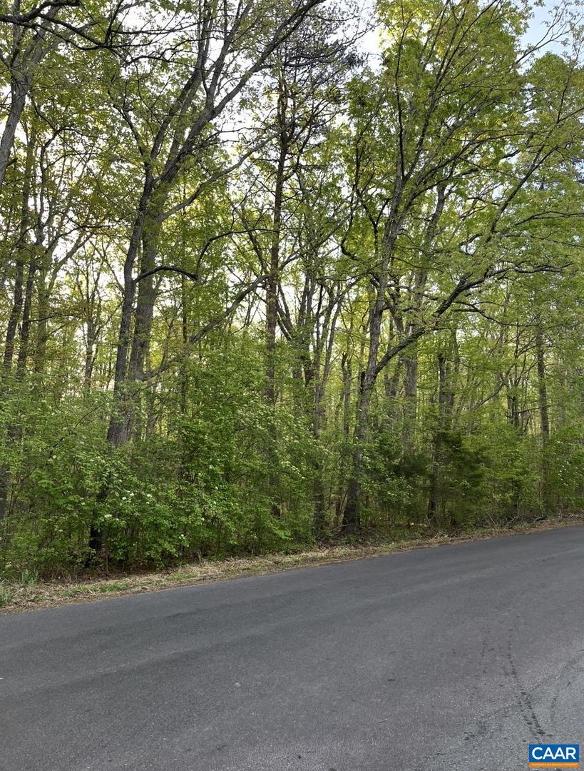 Black Walnut Run Rd Property Photo 4