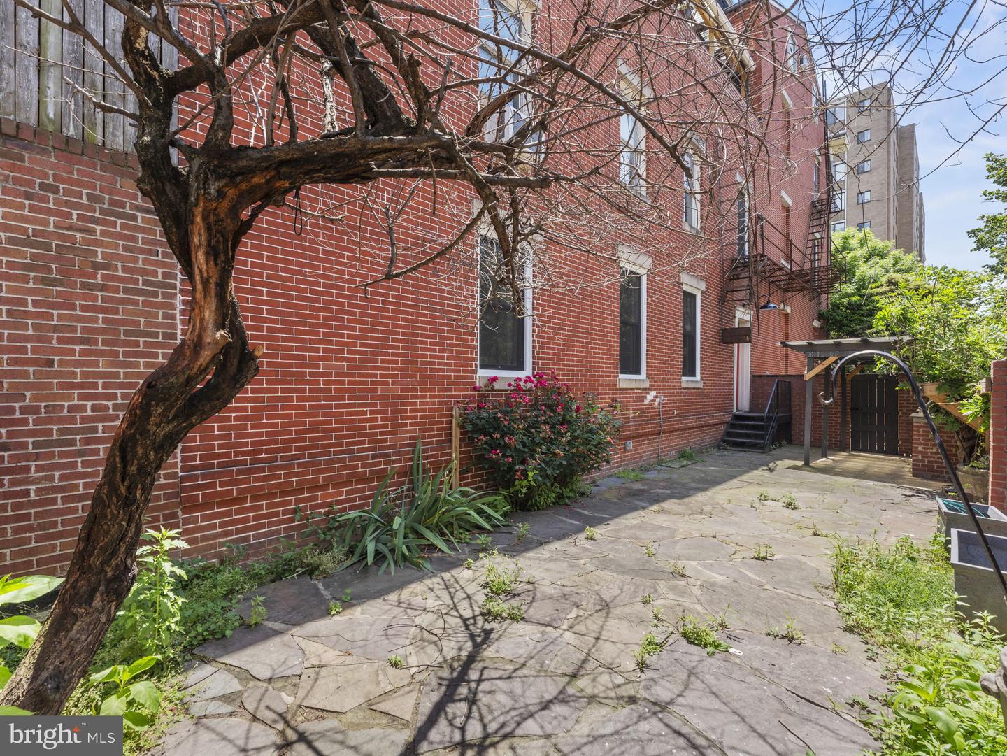 1115 M St Nw Property Photo 41